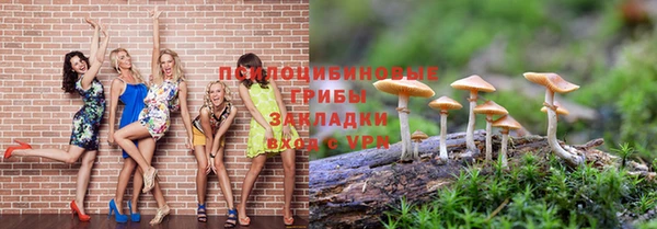 МДПВ Арсеньев
