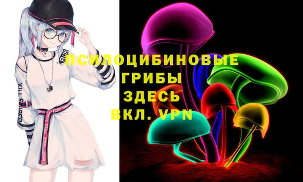 крисы Армянск