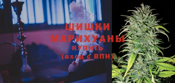 крисы Армянск