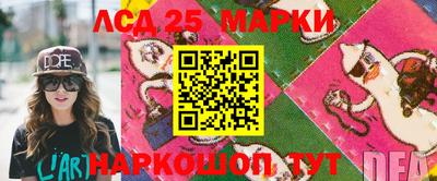 стаф Сланцы