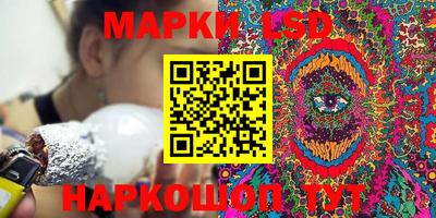 стаф Сланцы