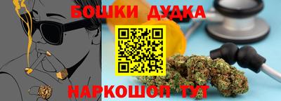 стаф Сланцы