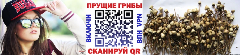 Галлюциногенные грибы мухоморы  наркота  Усть-Джегута 